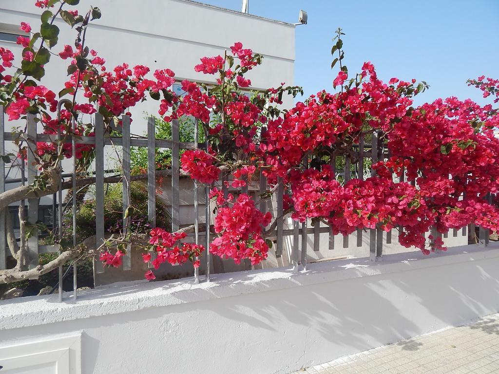 Monte Sant' Angelo Hotel โอตรันโต ภายนอก รูปภาพ